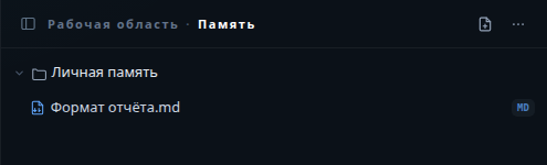 Панель Память с разделом Личная память и файлом Формат отчёта